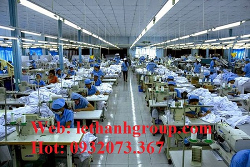 Xưởng sản xuất bao tay vải thun cotton trắng, chuyên sỉ ssos lượng lớn giá rẻ