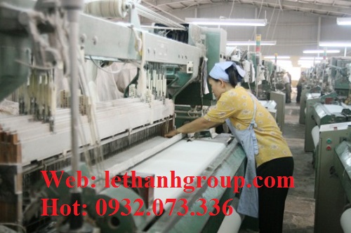 Xưởng chuyên sản xuất bao tay vải thun trắng số lượng lớn