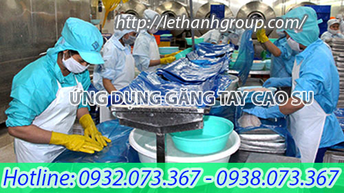 Sỉ rẻ găng tay Nam Long trong ngành thủy hải sản, nông sản